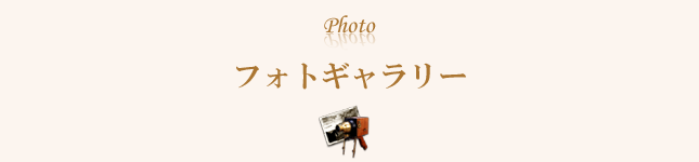 フォトギャラリー